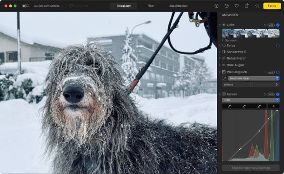 Der Screenshot zeigt die Anwendung «Fotos»; neben den Werkzeugen ist ein langhaariger, etwas verschneiter Hund zu sehen