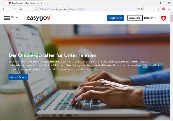 Screenshot EasyGov-Webseite