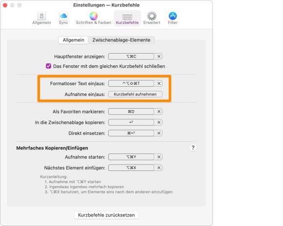 Der Screenshot zeigt die Einstellung, mit der Text ohne Formatierungen eingesetzt wird