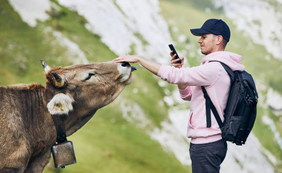 Ein Wanderer fotografiert mit seinem Smartphone eine Kuh 