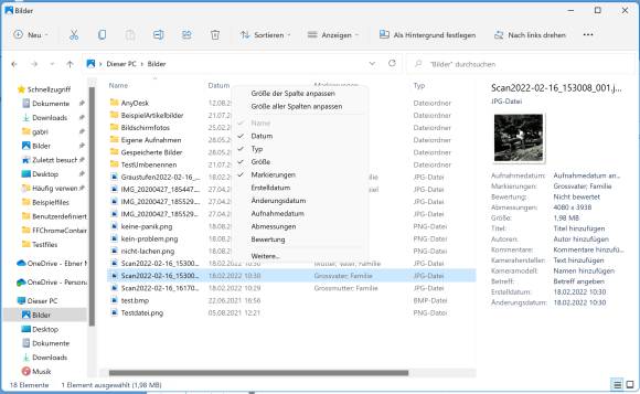 Windows-Explorer mit eingeblendetem Detailbereich
