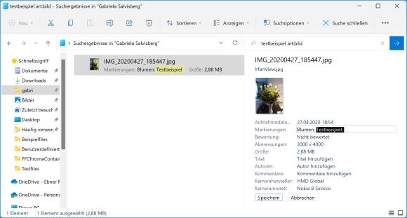 Datei-Explorer mit gefundenem Bild, in dem die Tags bearbeitet werden