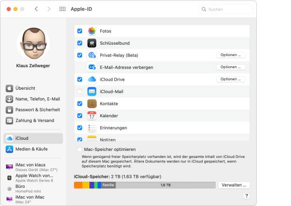 Die Systemeinstellungen am Mac zeigen die einzelnen iCloud-Kategorien