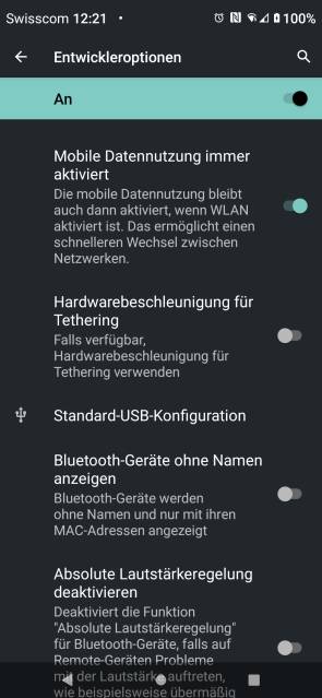 Screenshot der Entwickleroptionen