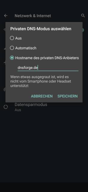 Dialogbox zum Eintragen des privaten DNS