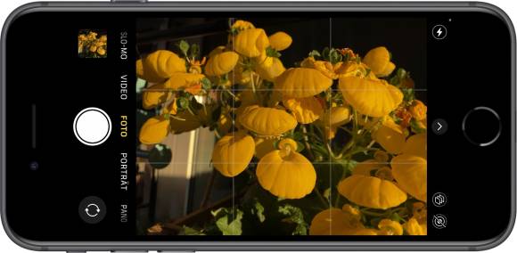 Das Foto zeigt ein iPhone SE, auf dessen Display die Kamera-App zu sehen ist. Das Motiv wird aus gelben Blumen gebildet.