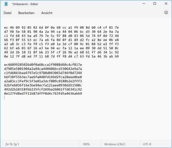 Screenshot der Fingerprints in Notepad