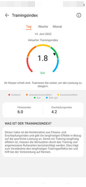 App-Screenshot: Trainingsindex beim Joggen