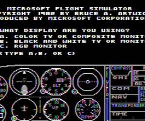 Der erste Flugsimulator. Beim Einrichten die Frage, ob man einen Monochrom-Monitor habe