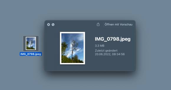 Der Screenshot zeigt neben der Bilddatei nur eine kleine Standard-Voransicht