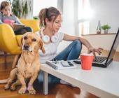 Ein Hund sitzt neben einer Frau, die am Laptop arbeitet
