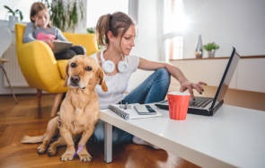 Ein Hund sitzt neben einer Frau, die am Laptop arbeitet 