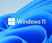 Ein Windows 11-Logo auf dem Windows-11-typischen Desktop-Hintergrund
