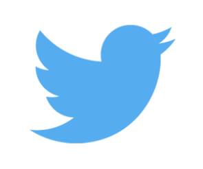 Das Twitter-Log in Form des blauen Vogels 