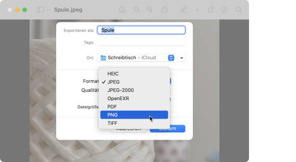 Der Screenshot zeigt eine Bildkonvertierung im Apple-Programm «Vorschau»