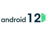 Das Logo von Android 12