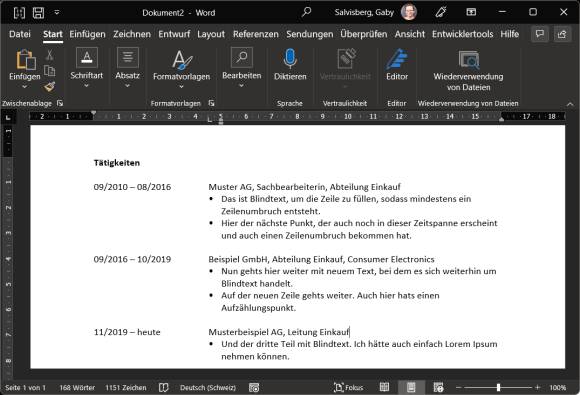 Screenshot eines Beispiel-Lebenslaufs in Word 