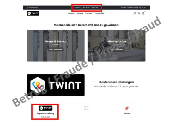 Screenshot des betrügerischen Fake-Twint-Webshops