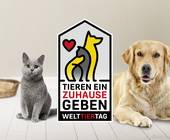 Eine Katze und ein Hund