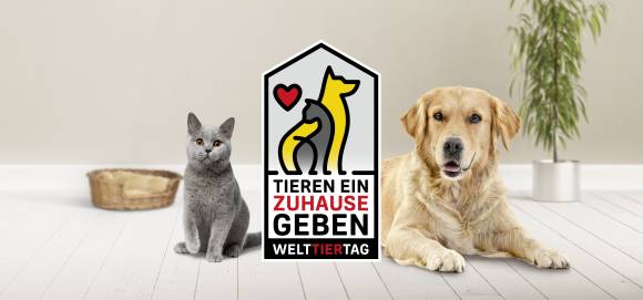 Eine Katze und ein Hund 