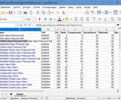 Screenshot einer LibreOffice-Tabelle mit aus dem Netz kopierten Daten