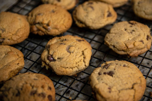 Symbolbild zeigt Cookies auf einem Backofen-Gitter 