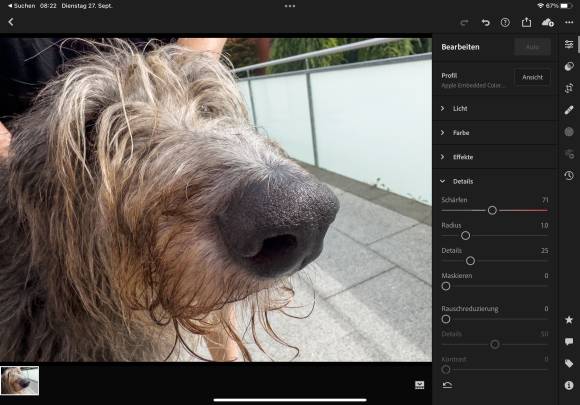 Der Screenshot zeigt den Kopf eines langhaarigen Hundes, dessen Foto auf dem iPad optimiert wird