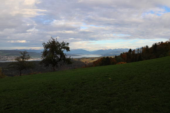 Landschaftsaufnahme Zürichsee vom Albispass her