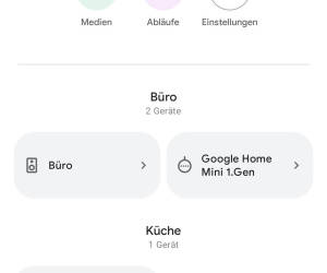 Screenshot der Google-Home-App