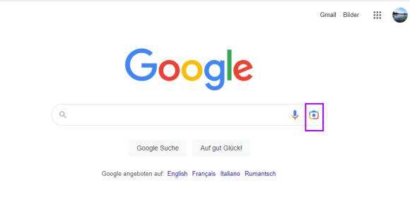 Die Google-Suchseite mit dem Symbol zum Öffnen der Bildersuche 