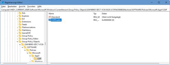 Screenshot des Eintrags im Registry-Editor