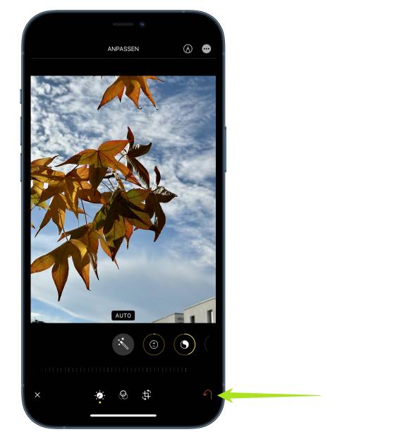 Herbstblätter auf dem iPhone in der Kamera-App