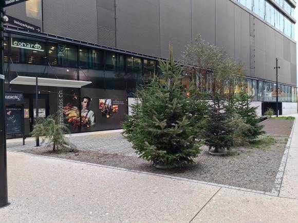 Foto einiger zum Verkauf stehender Weihnachtsbäume auf dem Sihlcity-Platz