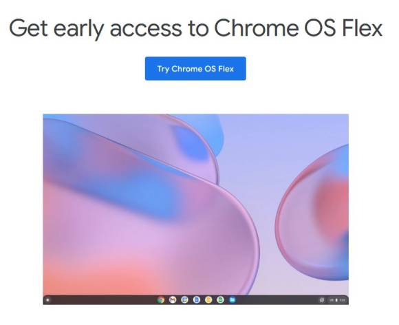 Infobanner von Google mit Zugriff auf Testversion für Chrome OS Flex 