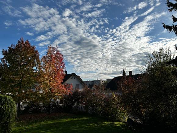 Bäume und Wolken am blauen Himmel eines Herbsttages