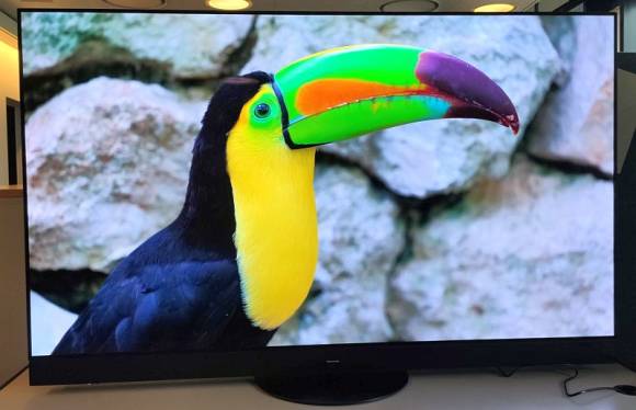 Der Fernseher zeigt einen bunten Vogel