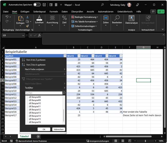 Intelligente Excel-Tabelle, in der aber die unterste Zeile beginnend mit "Beispiel17" nicht mehr im Tabellenbereich integriert ist 