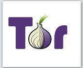 Logo des Tor-Browsers