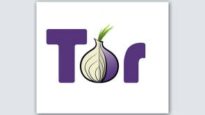 Logo des Tor-Browsers 