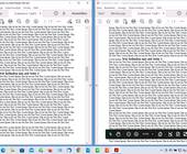 Zwei Fenster desselben Beispiel-PDF-Dokuments nebeneinander