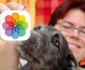 Ein stark verpixeltes Bild einer Frau und eines Hundes, zumsammen mit dem Symbol der Fotos-Anwendung