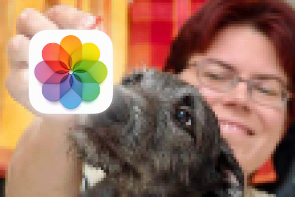 Gegen GIFs ist immer noch kein Kraut gewachsen – all seinen Schwächen zum Trotz Ein stark verpixeltes Bild einer Frau und eines Hundes, zumsammen mit dem Symbol der Fotos-Anwendung