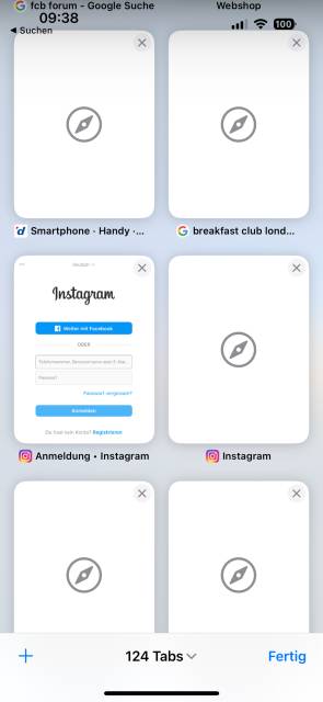 iPhone-Screenshot des Safari-Browsers 