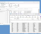 Im Hintergrund Outlook-Adressen, im Vordergrund dieselben Adressen in Word