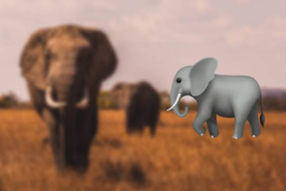 Ein Elefant in der Savanne 