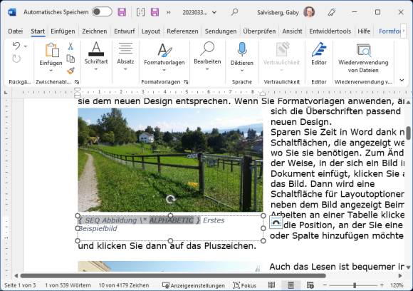 Die Feldfunktionen, in denen Sie ARABIC durch ALPHABETIC ersetzen