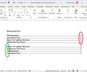 Ein kleines Bildverzeichnis in Word, einmal nach Seitenzahl, einmal nach Bezeichnung sortiert