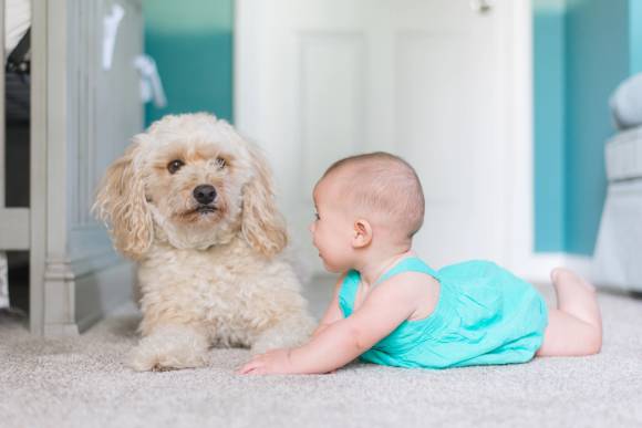 Symbolbild eines Babys neben einem kleinen Hund 