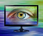 Symbolbild zeigt ein grosses Auge auf einem Computerbildschirm