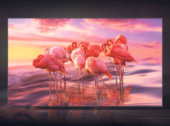 Flamingos im Abendrot, mit vielen kräftigen Rosa-Tönen